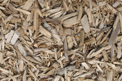 biomass boilers Burnage
